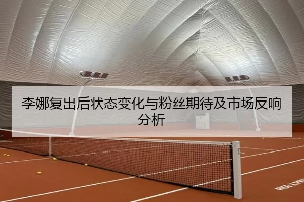 李娜复出后状态变化与粉丝期待及市场反响分析